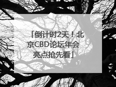 倒计时2天！北京CBD论坛年会亮点抢先看