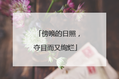 傍晚的日照，夺目而又绚烂