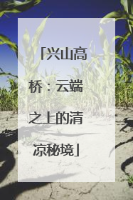 兴山高桥：云端之上的清凉秘境
