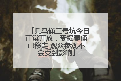 兵马俑三号坑今日正常开放，受损秦俑已移走 观众参观不会受到影响