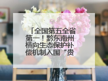 全国第五全省第一！黔东南州横向生态保护补偿机制入围“贵州改革奖”