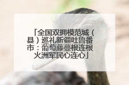全国双拥模范城（县）巡礼新疆吐鲁番市：葡萄藤蔓根连根 火洲军民心连心
