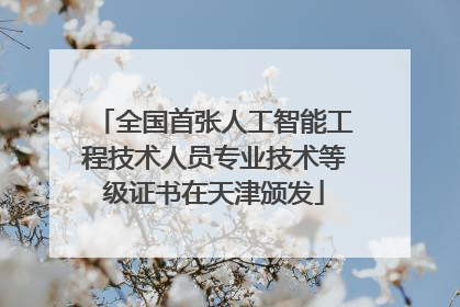 全国首张人工智能工程技术人员专业技术等级证书在天津颁发