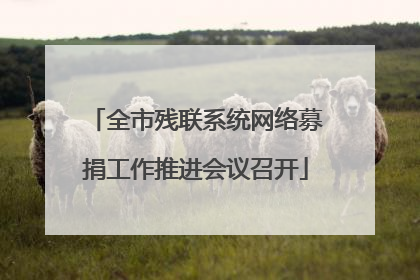 全市残联系统网络募捐工作推进会议召开