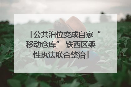 公共泊位变成自家“移动仓库” 铁西区柔性执法联合整治