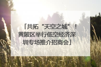 共拓“天空之城”！黄陂区举行低空经济深圳专场推介招商会