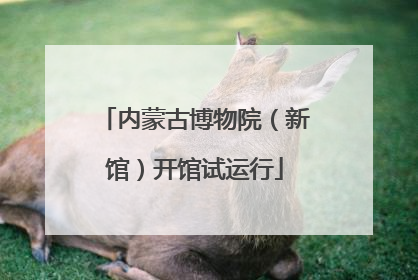 内蒙古博物院（新馆）开馆试运行