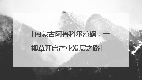 内蒙古阿鲁科尔沁旗：一棵草开启产业发展之路