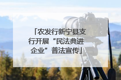 农发行新宁县支行开展“民法典进企业”普法宣传