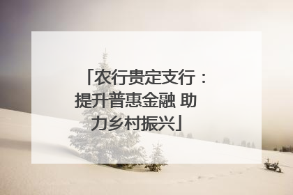 农行贵定支行：提升普惠金融 助力乡村振兴