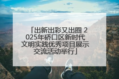 出新出彩又出圈 2025年硚口区新时代文明实践优秀项目展示交流活动举行