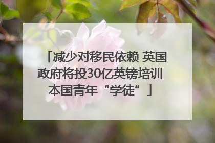 减少对移民依赖 英国政府将投30亿英镑培训本国青年“学徒”