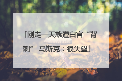 刚走一天就遭白宫“背刺” 马斯克：很失望