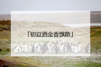 初夏洒金香飘散