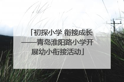 初探小学 衔接成长——青岛淮阳路小学开展幼小衔接活动
