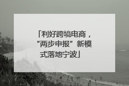 利好跨境电商，“两步申报”新模式落地宁波