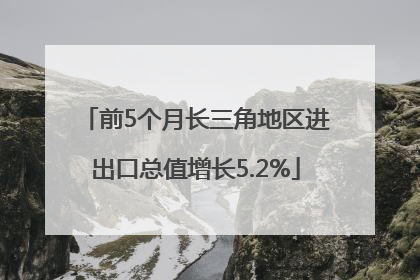 前5个月长三角地区进出口总值增长5.2%