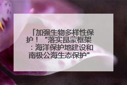 加强生物多样性保护！“落实昆蒙框架：海洋保护地建设和南极公海生态保护”主题论坛将举办