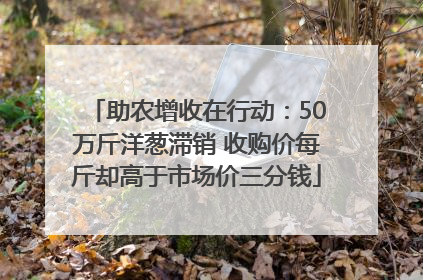 助农增收在行动：50万斤洋葱滞销 收购价每斤却高于市场价三分钱