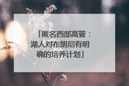 匿名西部高管：湖人对布朗尼有明确的培养计划