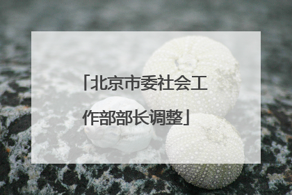 北京市委社会工作部部长调整