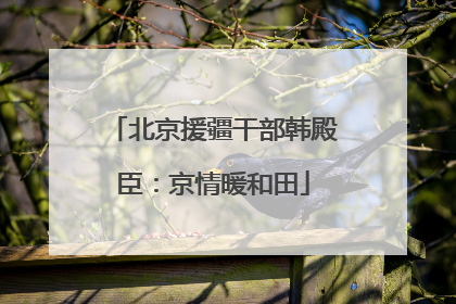 北京援疆干部韩殿臣：京情暖和田