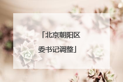 北京朝阳区委书记调整