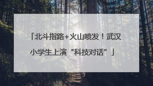 北斗指路+火山喷发！武汉小学生上演“科技对话”