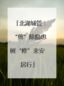 北湖城管：“剪”除隐患树“修”来安居行