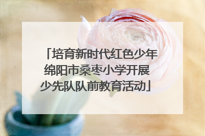 培育新时代红色少年 绵阳市桑枣小学开展少先队队前教育活动