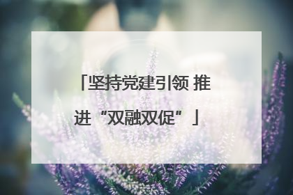 坚持党建引领 推进“双融双促”