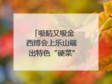 吸睛又吸金 西博会上乐山端出特色“硬菜”｜西博视界