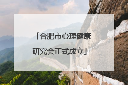 合肥市心理健康研究会正式成立