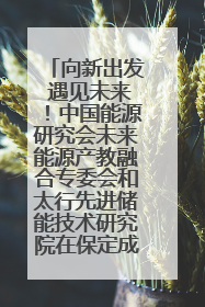 向新出发 遇见未来！中国能源研究会未来能源产教融合专委会和太行先进储能技术研究院在保定成立