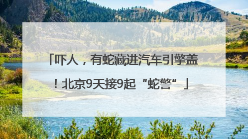 吓人，有蛇藏进汽车引擎盖！北京9天接9起“蛇警”