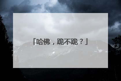 哈佛，跪不跪？