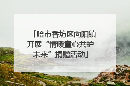 哈市香坊区向阳镇开展“情暖童心共护未来”捐赠活动