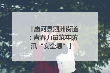 唐河县泗洲街道：青春力量筑牢防汛“安全堤”