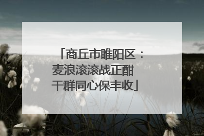 商丘市睢阳区：麦浪滚滚战正酣 干群同心保丰收