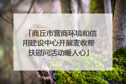 商丘市营商环境和信用建设中心开展麦收帮扶慰问活动暖人心