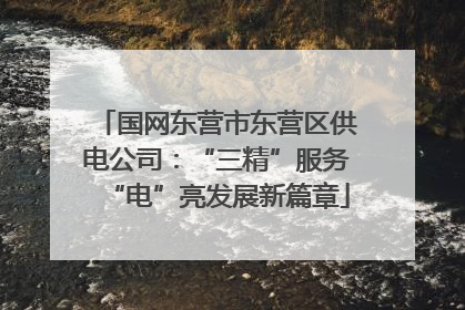 国网东营市东营区供电公司：“三精”服务“电”亮发展新篇章