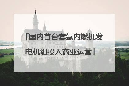 国内首台套氢内燃机发电机组投入商业运营