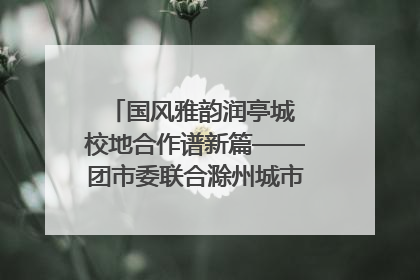 国风雅韵润亭城 校地合作谱新篇——团市委联合滁州城市职业学院助力传统文化“破圈”绽放