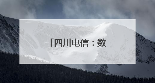 四川电信：数智赋能织密“普遍服务网”，绘就巴蜀新画卷
