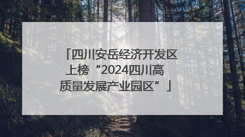 四川安岳经济开发区上榜“2024四川高质量发展产业园区”