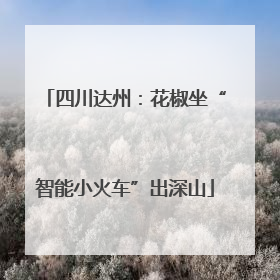 四川达州：花椒坐“智能小火车”出深山