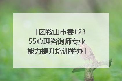 团鞍山市委12355心理咨询师专业能力提升培训举办