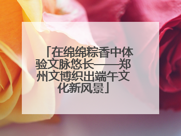 在绵绵粽香中体验文脉悠长——郑州文博织出端午文化新风景