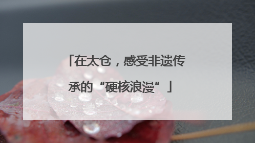 在太仓，感受非遗传承的“硬核浪漫”