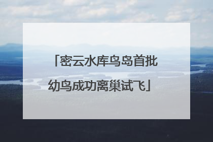 密云水库鸟岛首批幼鸟成功离巢试飞